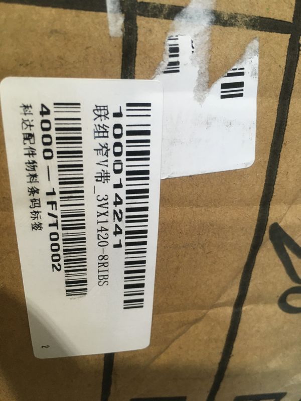 CORREIA CABEÇA POLIDORA